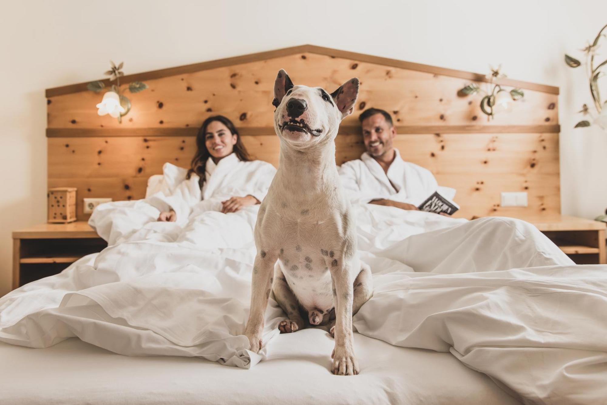 Seehotel Jaegerwirt Turracher Hohe 외부 사진